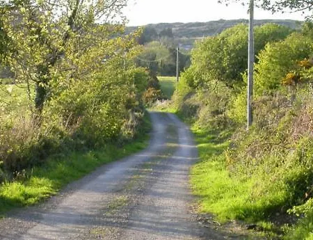 Ravens Oak, West Cork